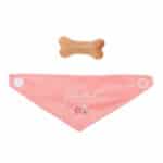 imagen de los accesorios del perrito