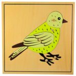 Puzzle montessori pájaro