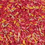 Imagen del arroz de cerca de Base sensorial de arroz rojo tejas