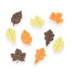 Imagen de portada de Hojas de otoño en miniatura para minimundos