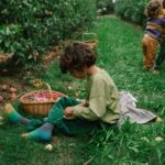 imagen de un niños con una cesta con las frutas de madera
