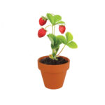 imagen de la mini maceta con las fresas ya en flor