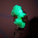 imagen de una de las masas brillando en la oscuridad de Playfoam set de 4 masas que brillan en la oscuridad