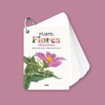imagen de portada de Fíjate Flores Guía para iniciarse en la observación de la naturaleza