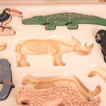 imagen del tablero con lo esqueletos grabados del Puzzle encajable de madera Animales de la Selva de Tickit