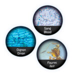 imagen de 3 muestras de las Láminas para microscopio de bolsillo de Buki