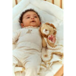 Imagen de niño en la cuna con Doudou león de peluche y texturas Safari Friends de Little Dutch